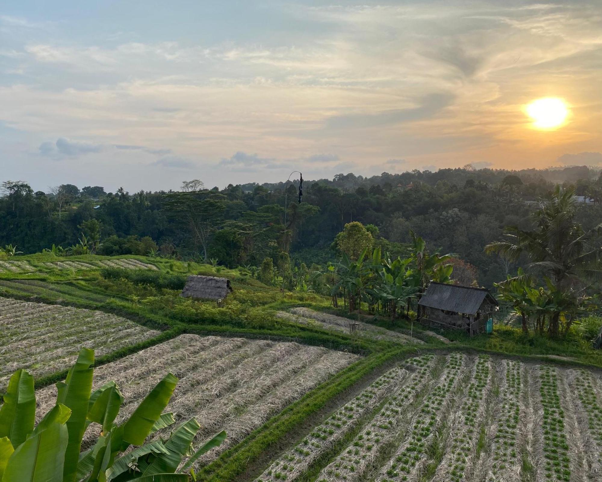 Gj Guest House Sidemen Sidemen  Ngoại thất bức ảnh